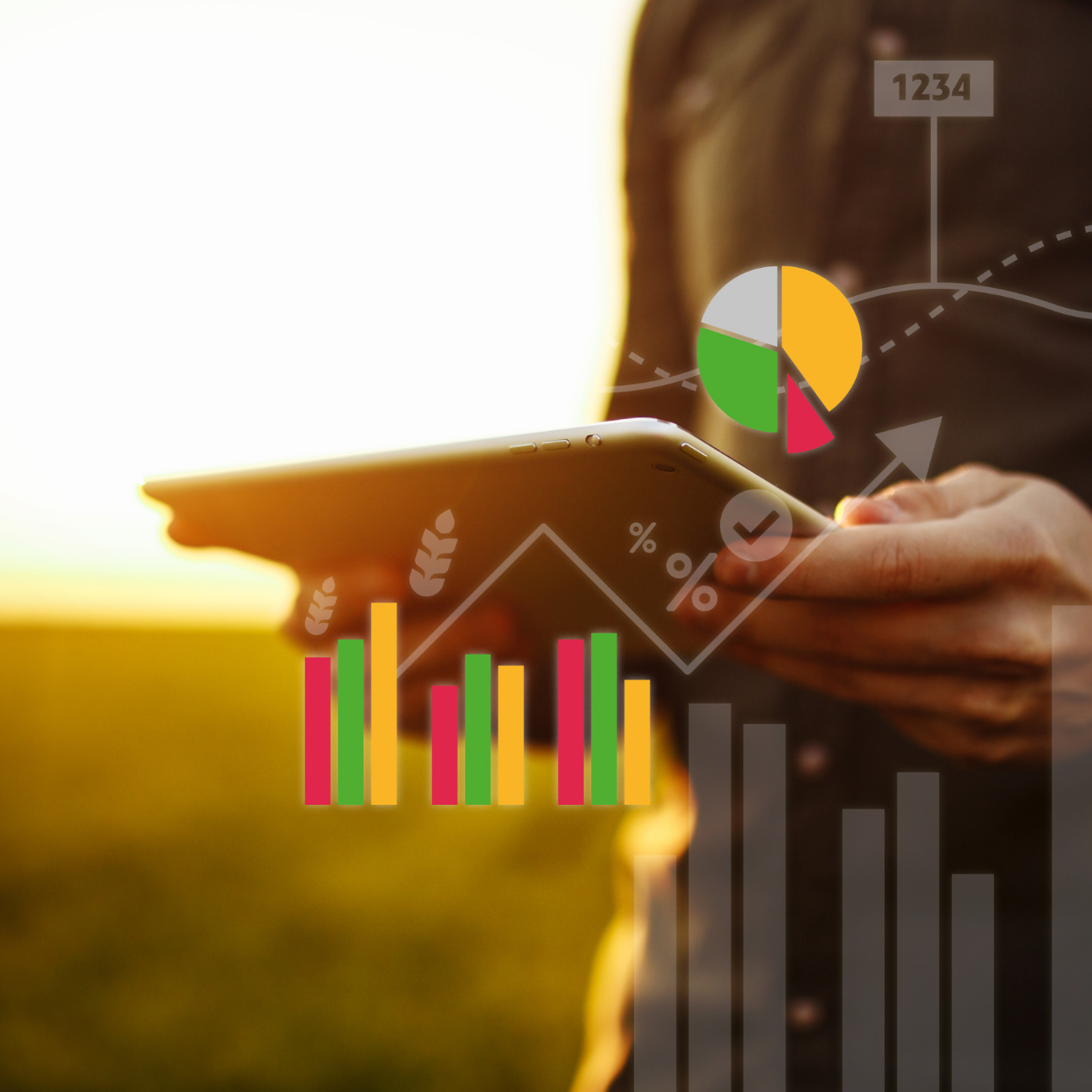 Webinaari: Kassanhallinta investoinnin yhteydessä