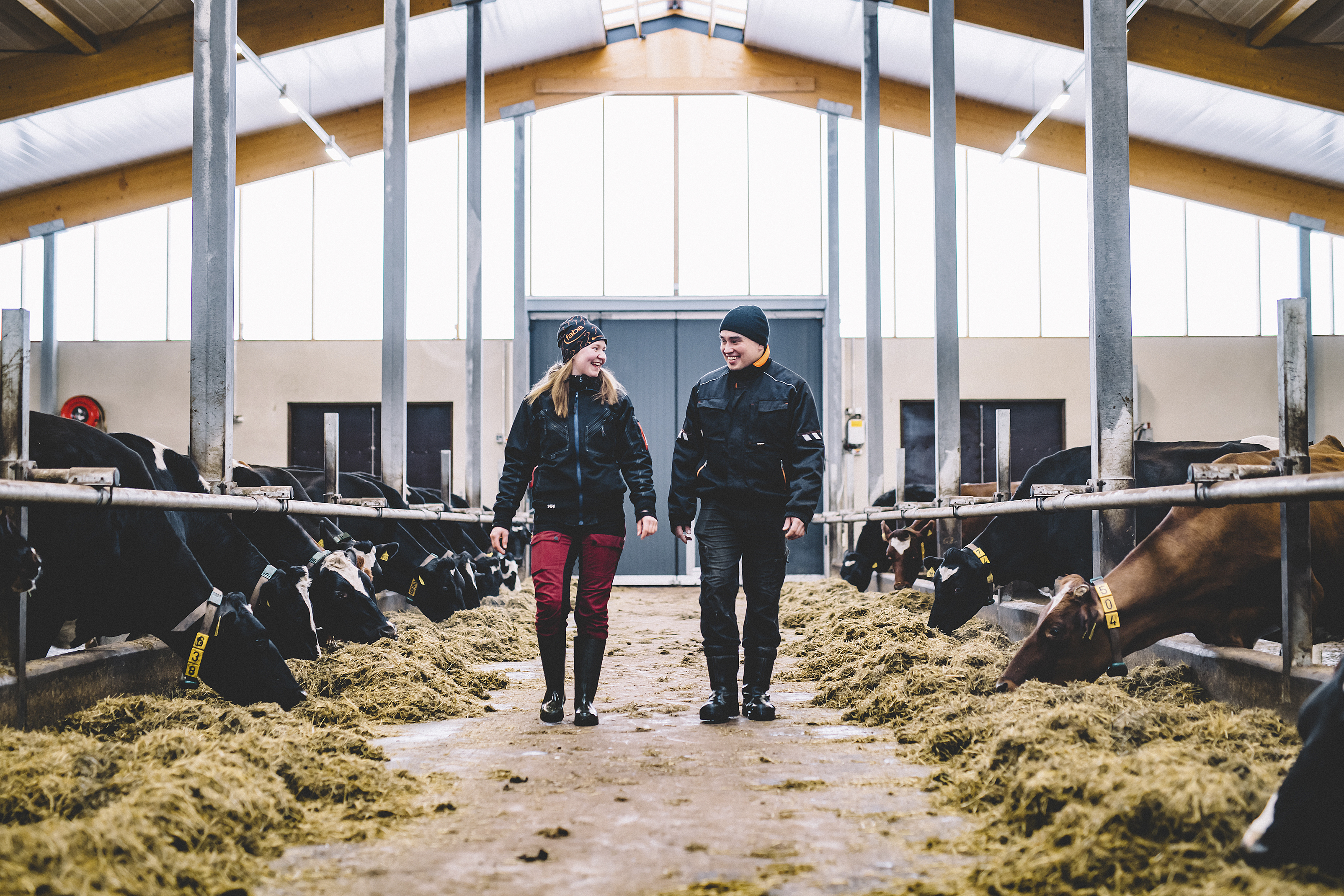 Unelma robottinavetasta toteutui