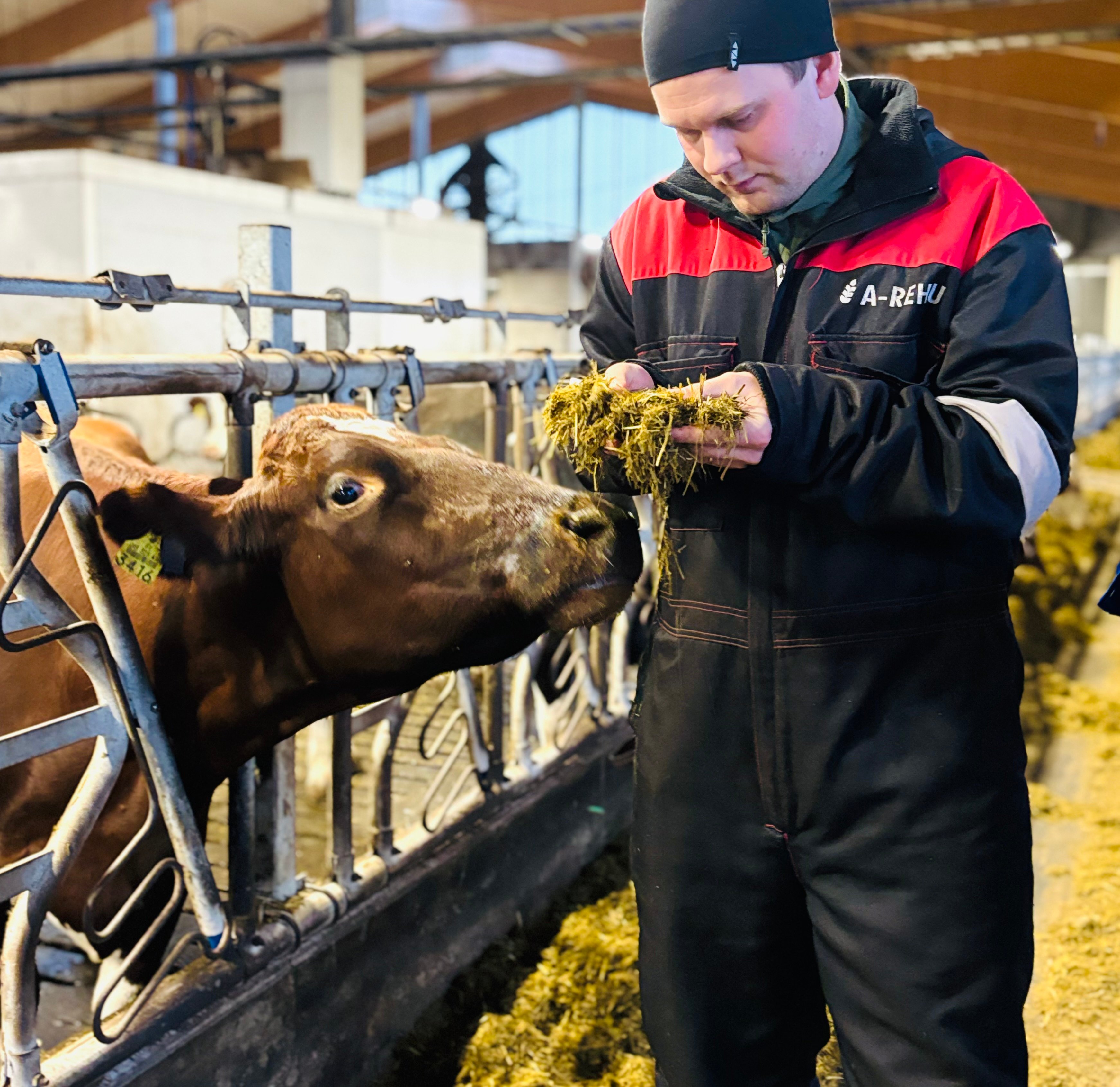 ArvoTR: Parempi rehuhyötysuhde näkyy suoraan tuloksessa