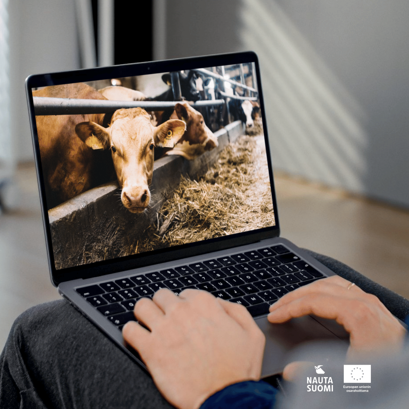 Tammikuun webinaari: Kivennäisaineet ja -analyysit rehustuksessa