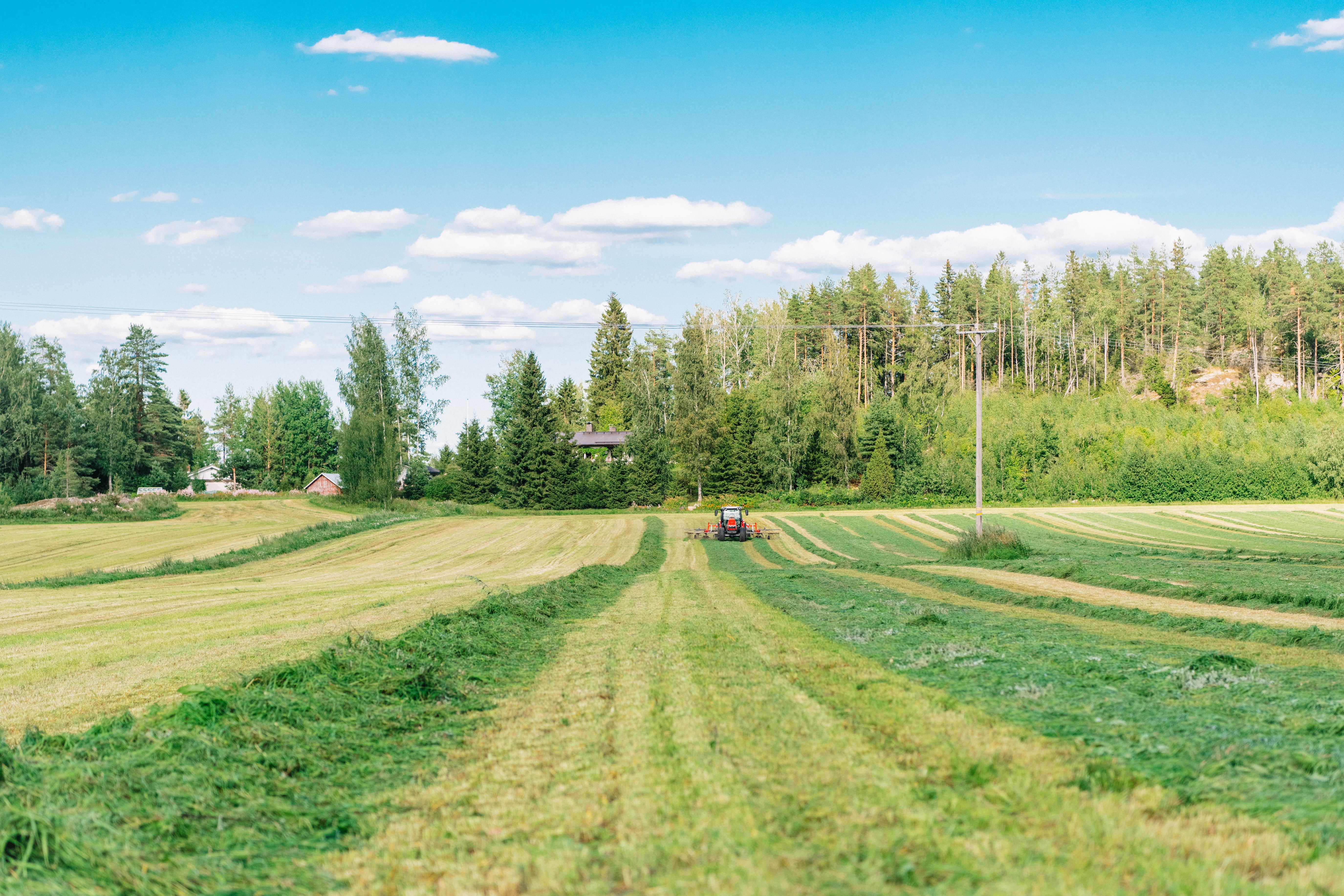 Säilörehuteemainen pellonpiennarpäivä Ilmajoella 5.8.