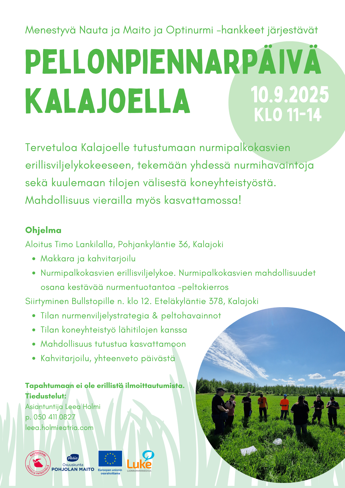 Mainos_Pellonpiennar Kalajoki.png