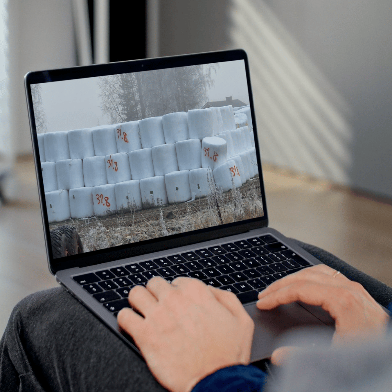 Webinaari: Paalirehut säilymään hyvin!