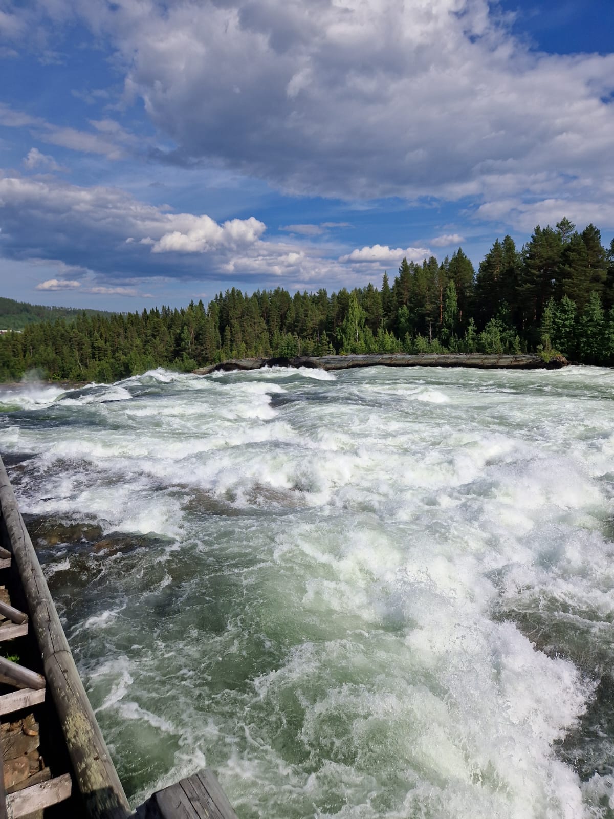 Matka Pohjois-Ruotsiin - teemana maitotilojen tuottavuus ja investoinnit