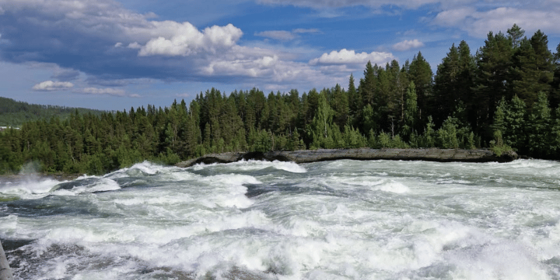 Maitotilojen matka Pohjois-Ruotsiin investointi- ja tuottavuusteemalla (1).png