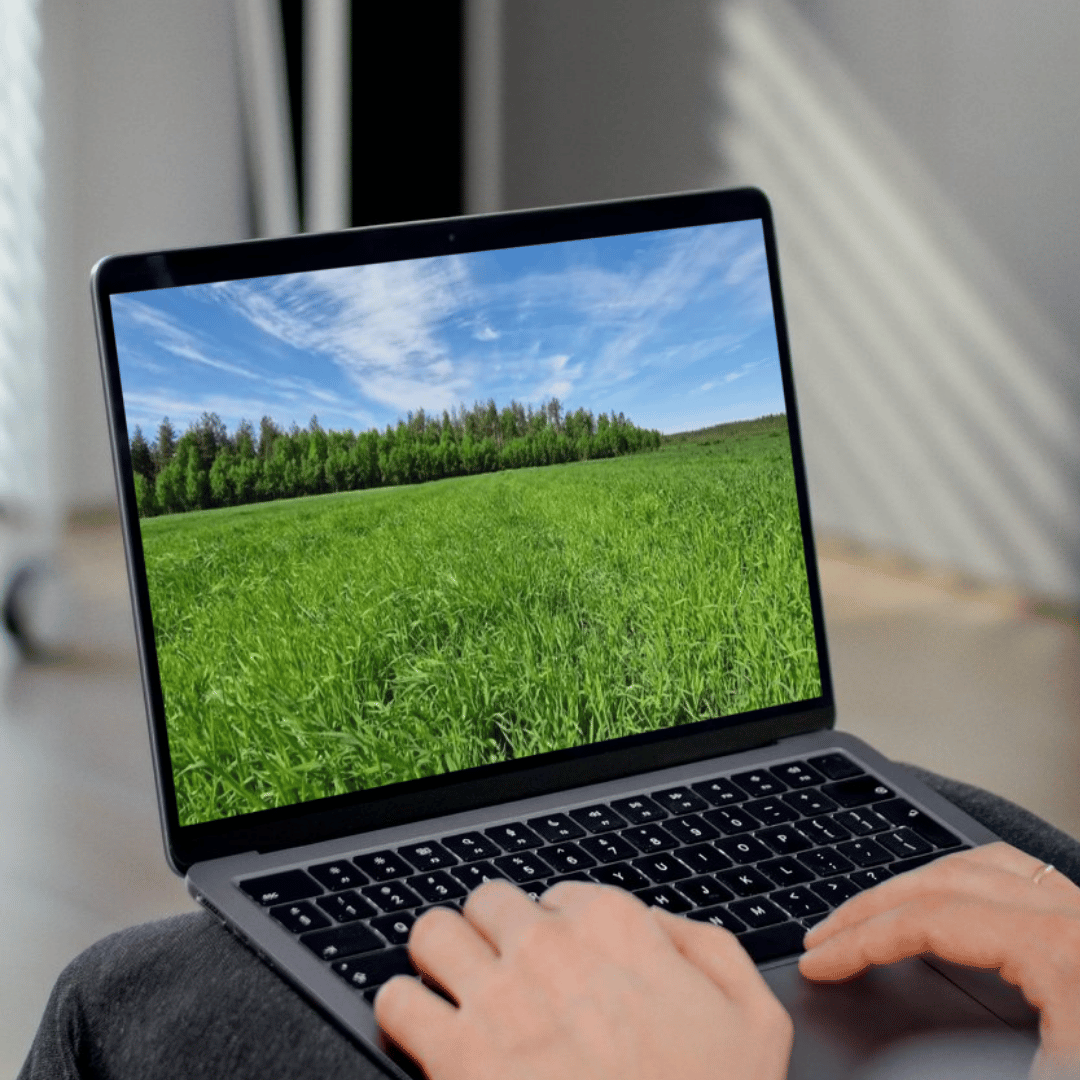 Webinaari: Robottitilan laidunnus