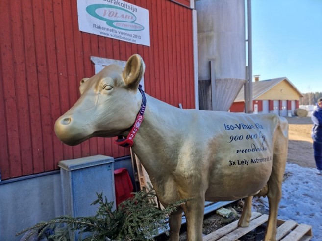 Iso-Vihun tila Jämijärvi.jpg