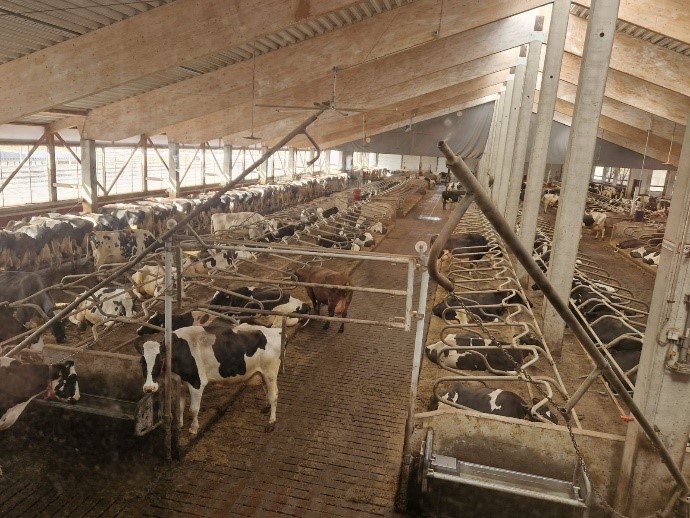 Viinamäen Farmi Oy.jpg