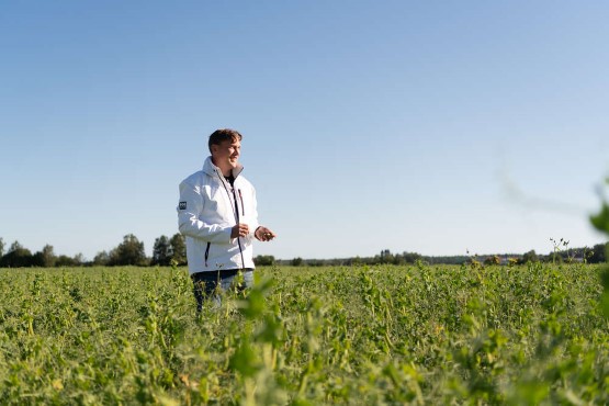 Vårt tillvägagångssätt och spannmålspasset