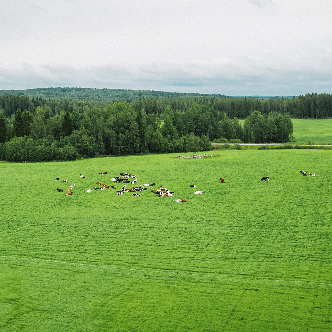 Ruoantuotanto ja panosomavaraisuus vahvistavat ruokaturvaa