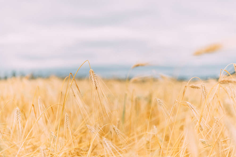 Usein kysytyt kysymykset