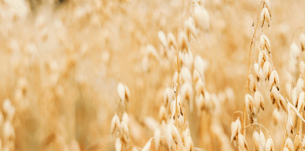 Hometoksiinit hallintaan – myös varastossa