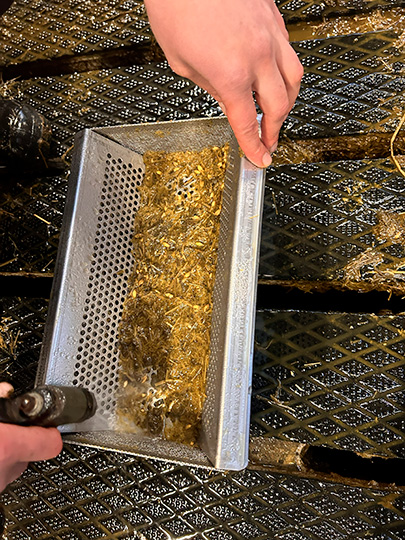 Lannanpesua seulassa-540x405.jpg