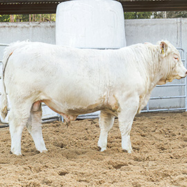 Atria sonnihuutokauppa 2026