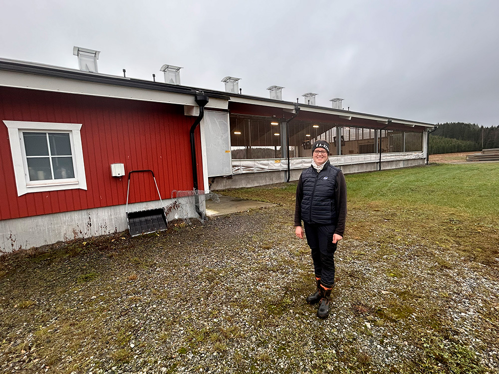 Jänisviidan tilalla tehdään oikeita ja tarkoituksenmukaisia töitä ajallaan