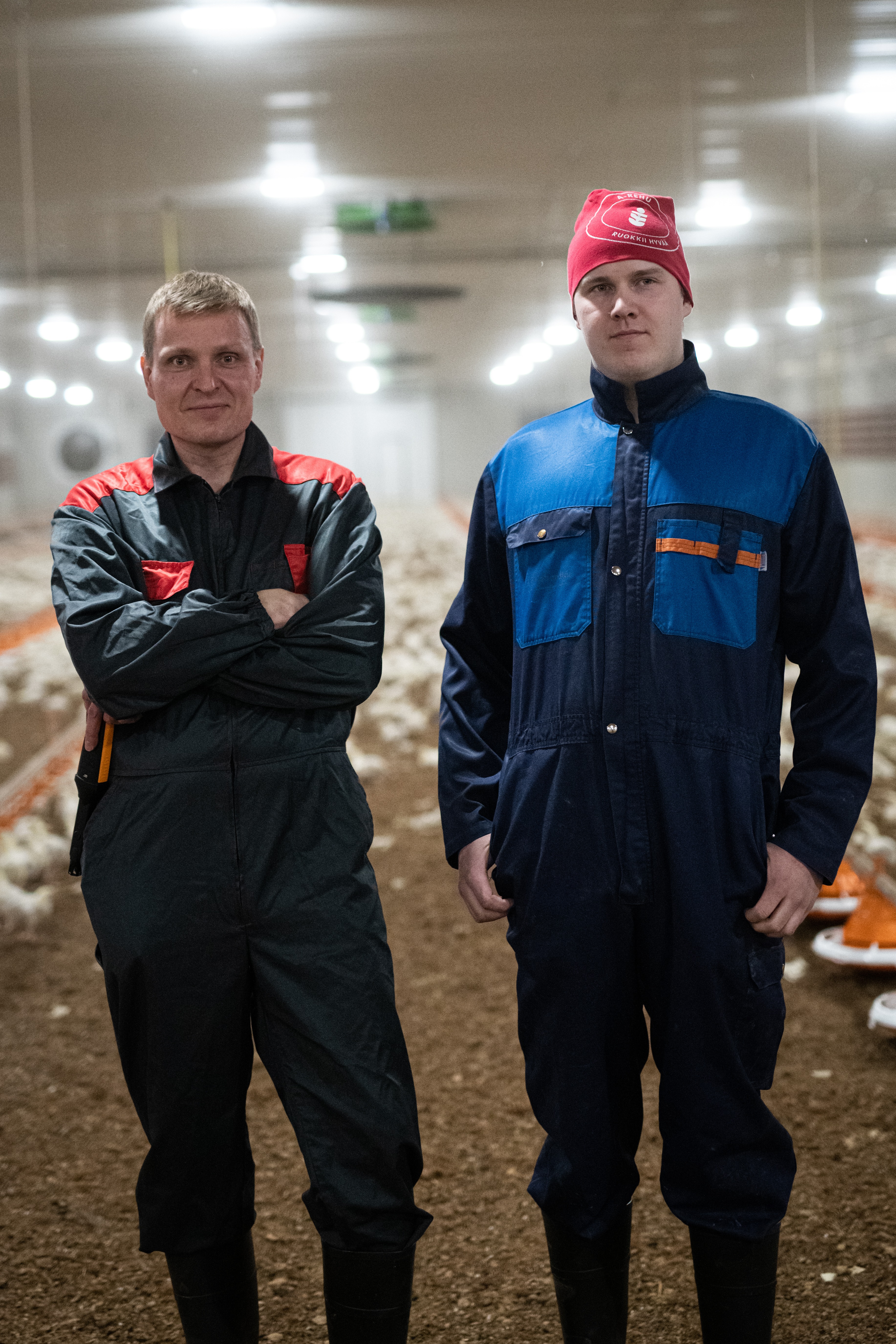 Täysrehulla taattuja tuloksia