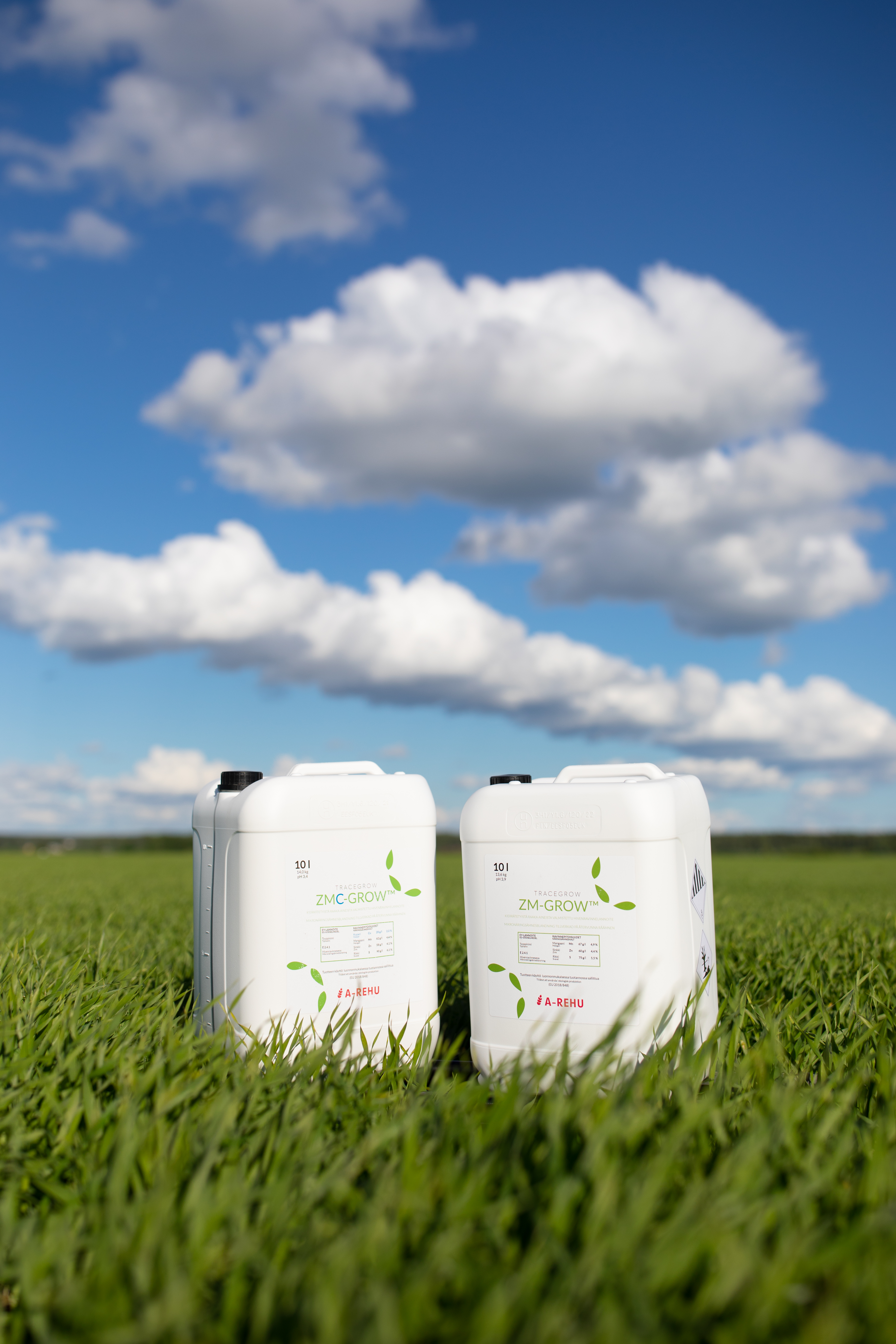 Kylvösiemenen ravinnepeittaus