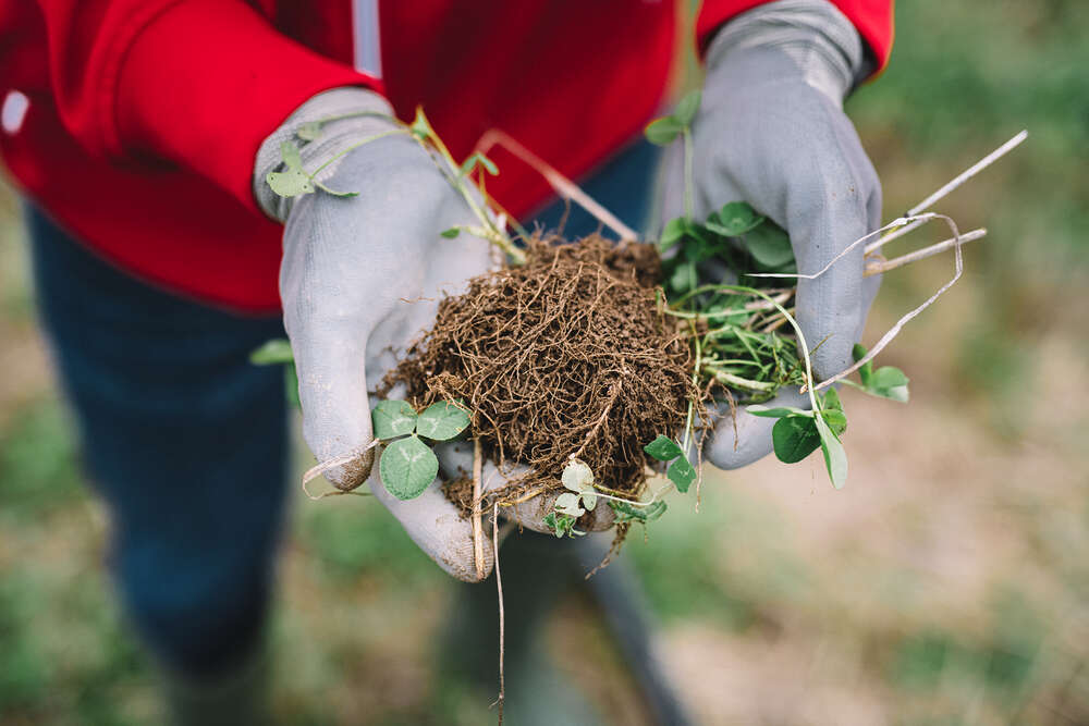 Atria Tuottajat 4/2020 -lehti: Meitä viljelyakatemialaisia on pian 800!