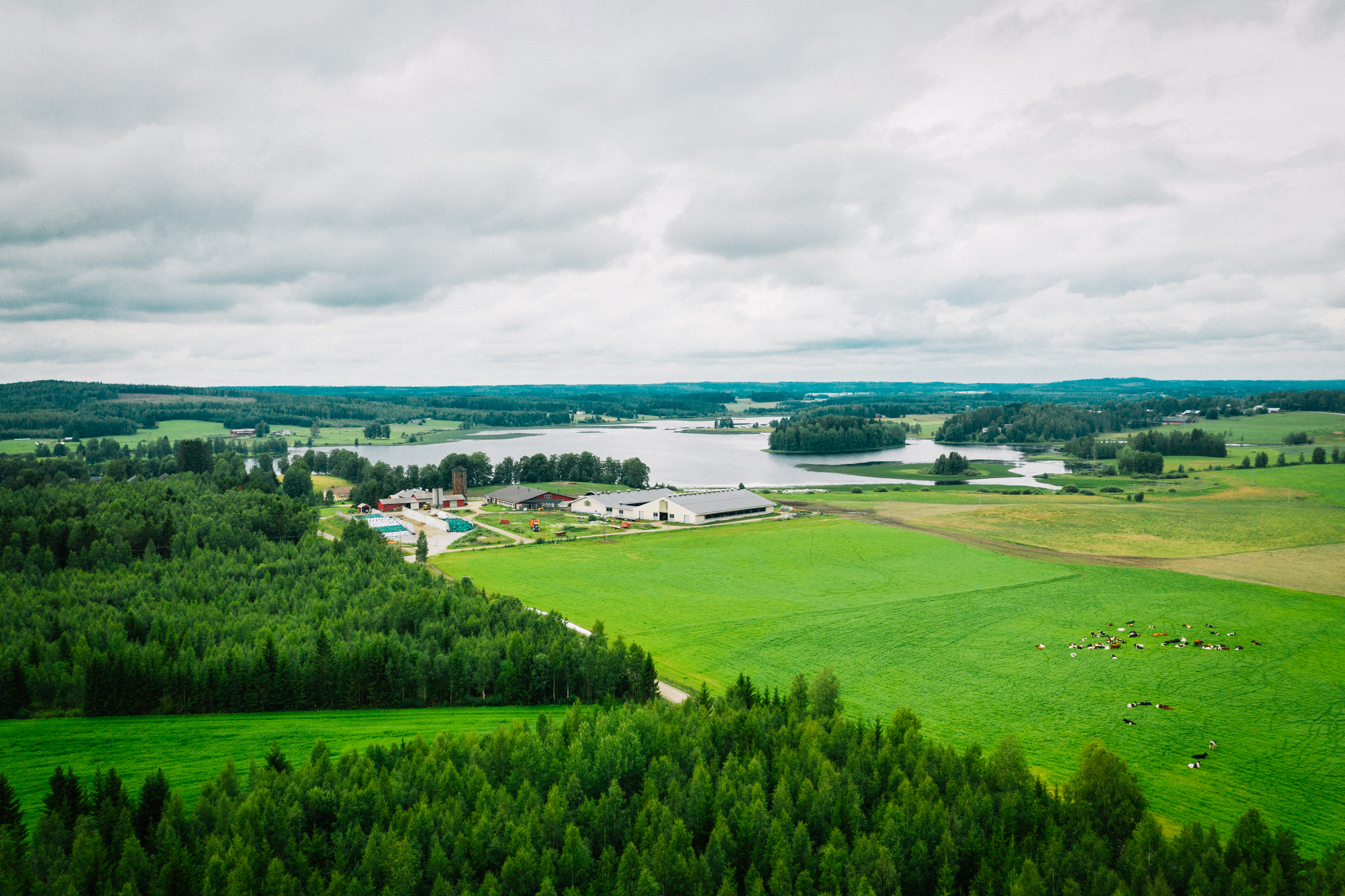 Menestyvä ja ilmastokestävä karjatalous