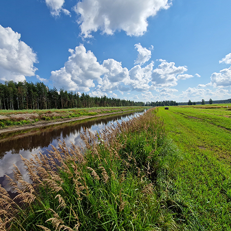 Turvepeltotutkimusta Luke Ruukissa