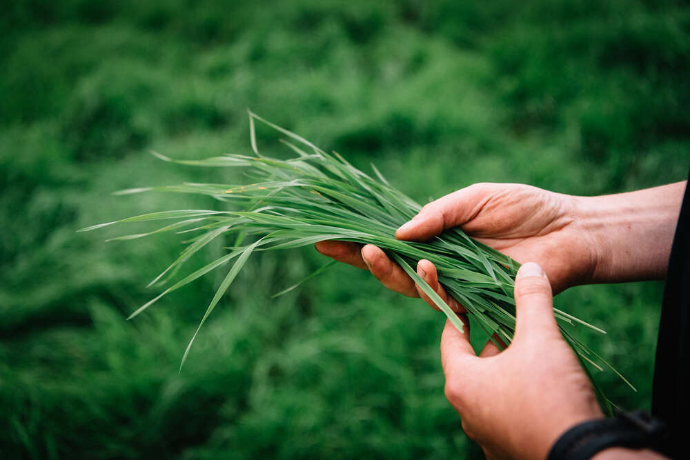 Työkaluja tuottajalle –webinaarisarja