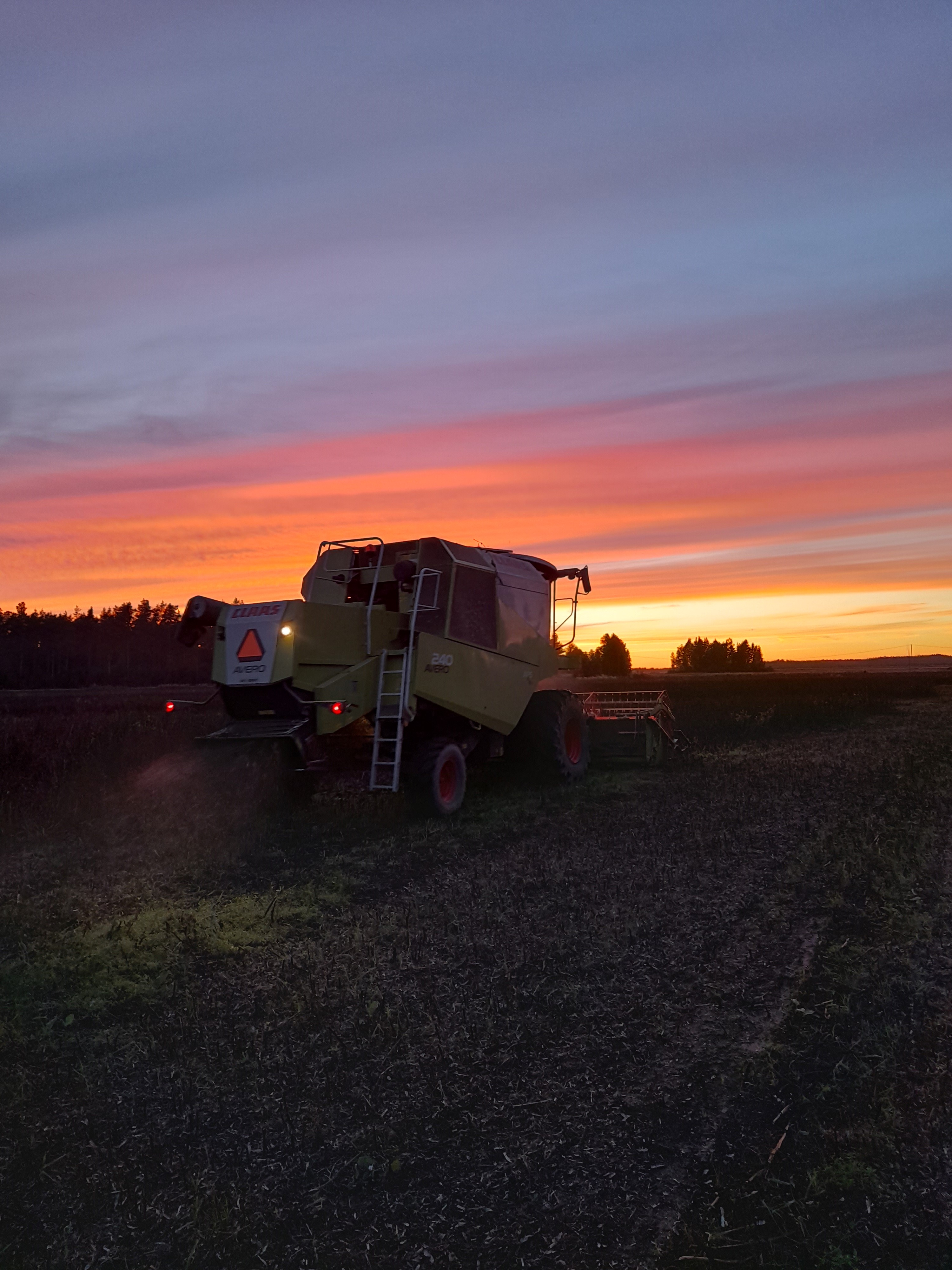 Hivenlannoituksella satoa ja laatua härkäpapuun