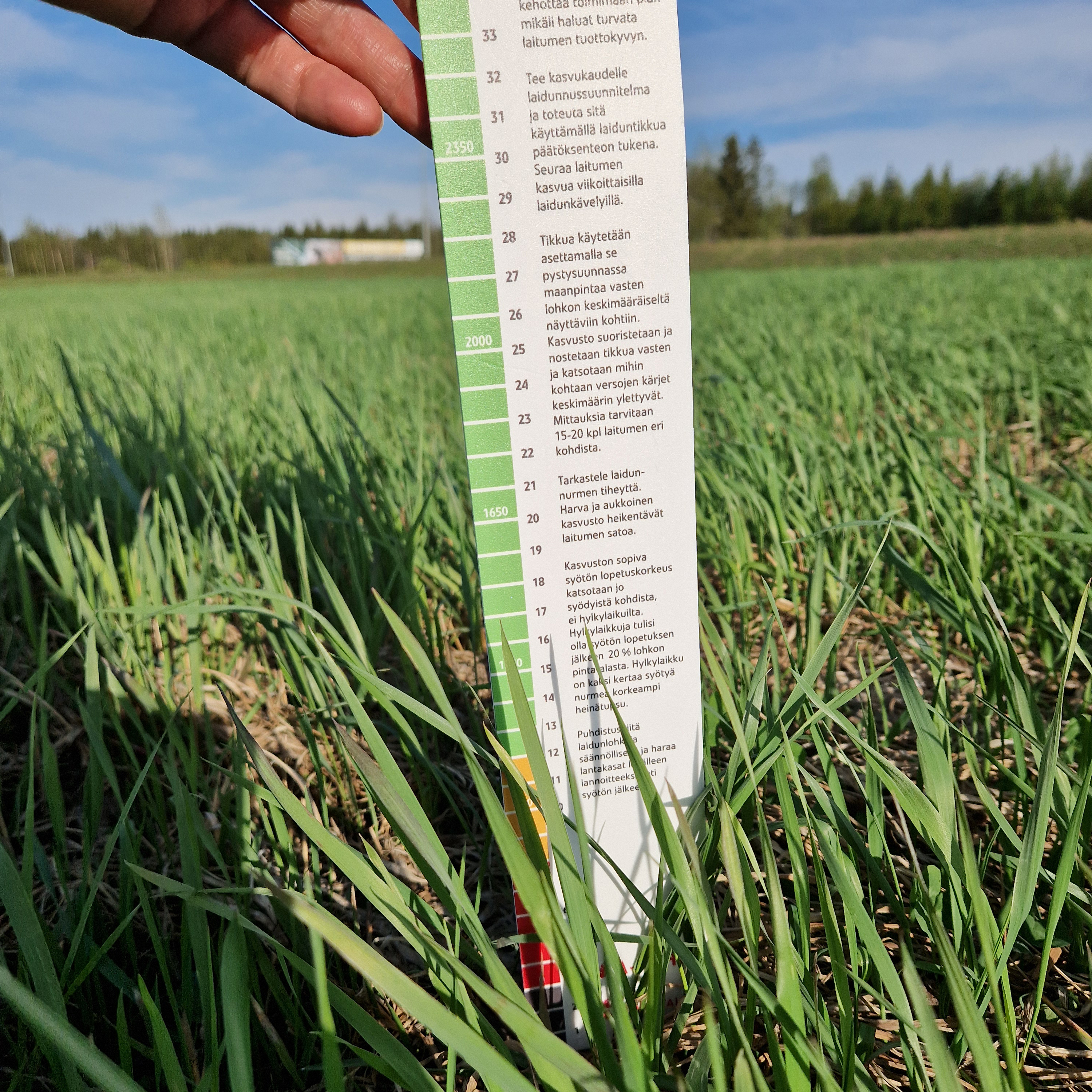 Pellonpiennarpäivä Keminmaassa 10.6.2025