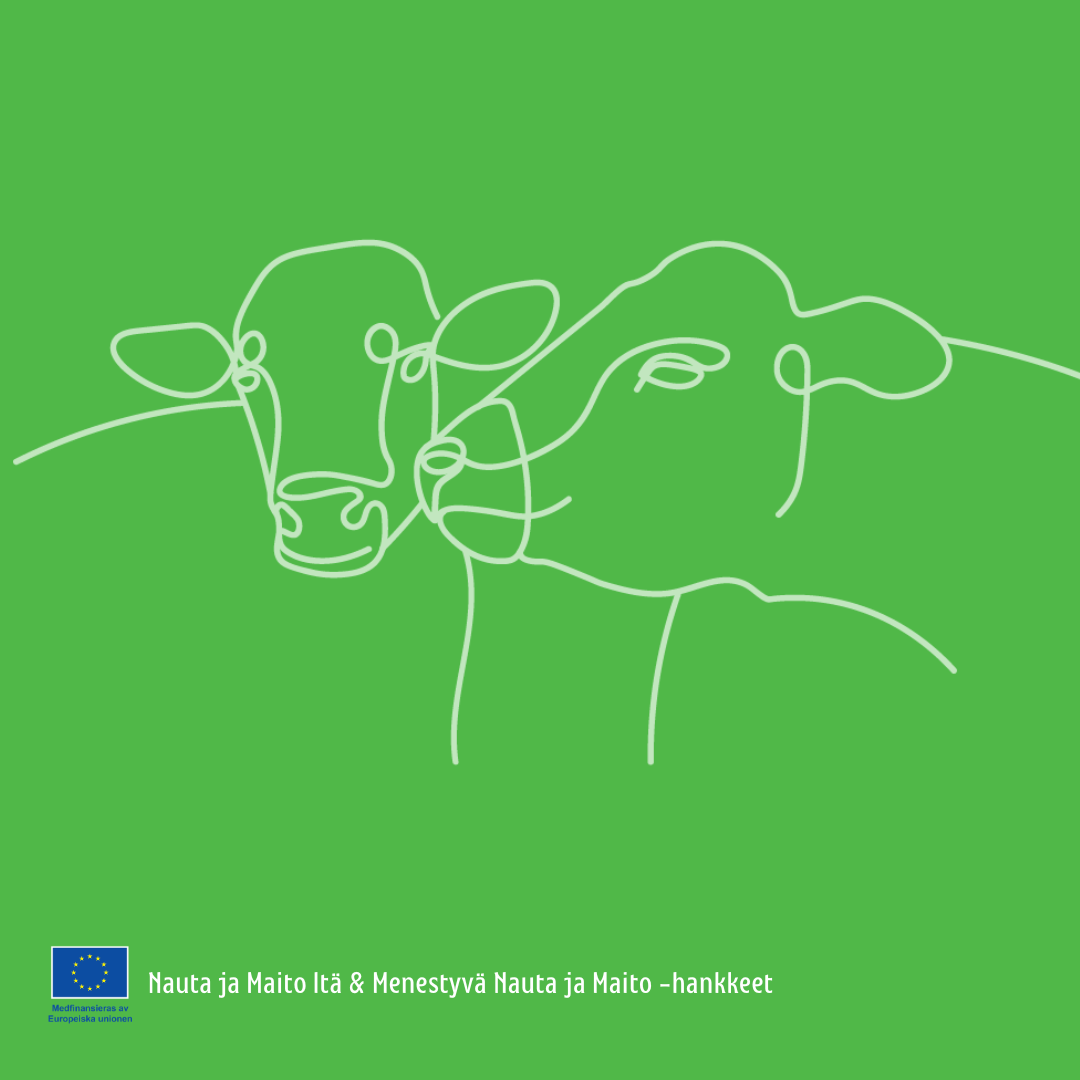 Nauta ja Maito Huippuseminaari Kalajoki 2026