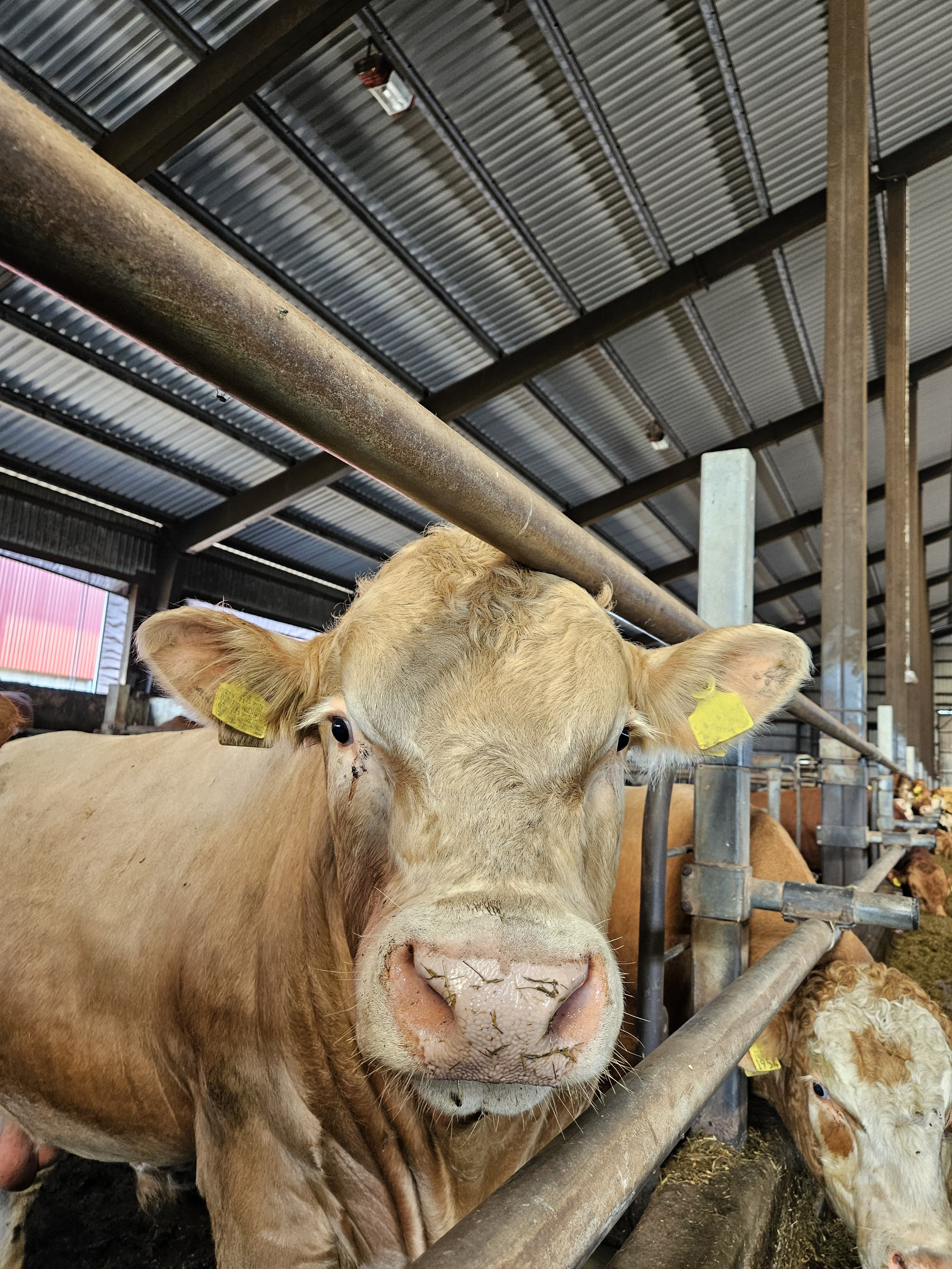 Marraskuun webinaarit