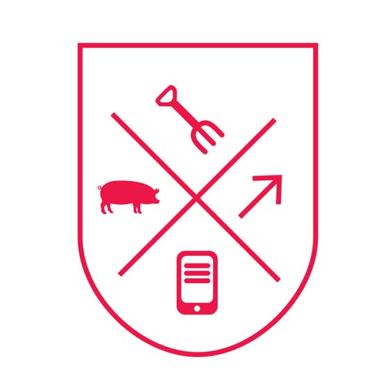 Käytännönläheinen tutkimus sikatilalla