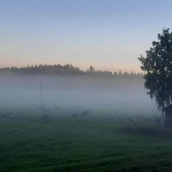 Mistä on menestyvä maatalousyrittäjä tehty?