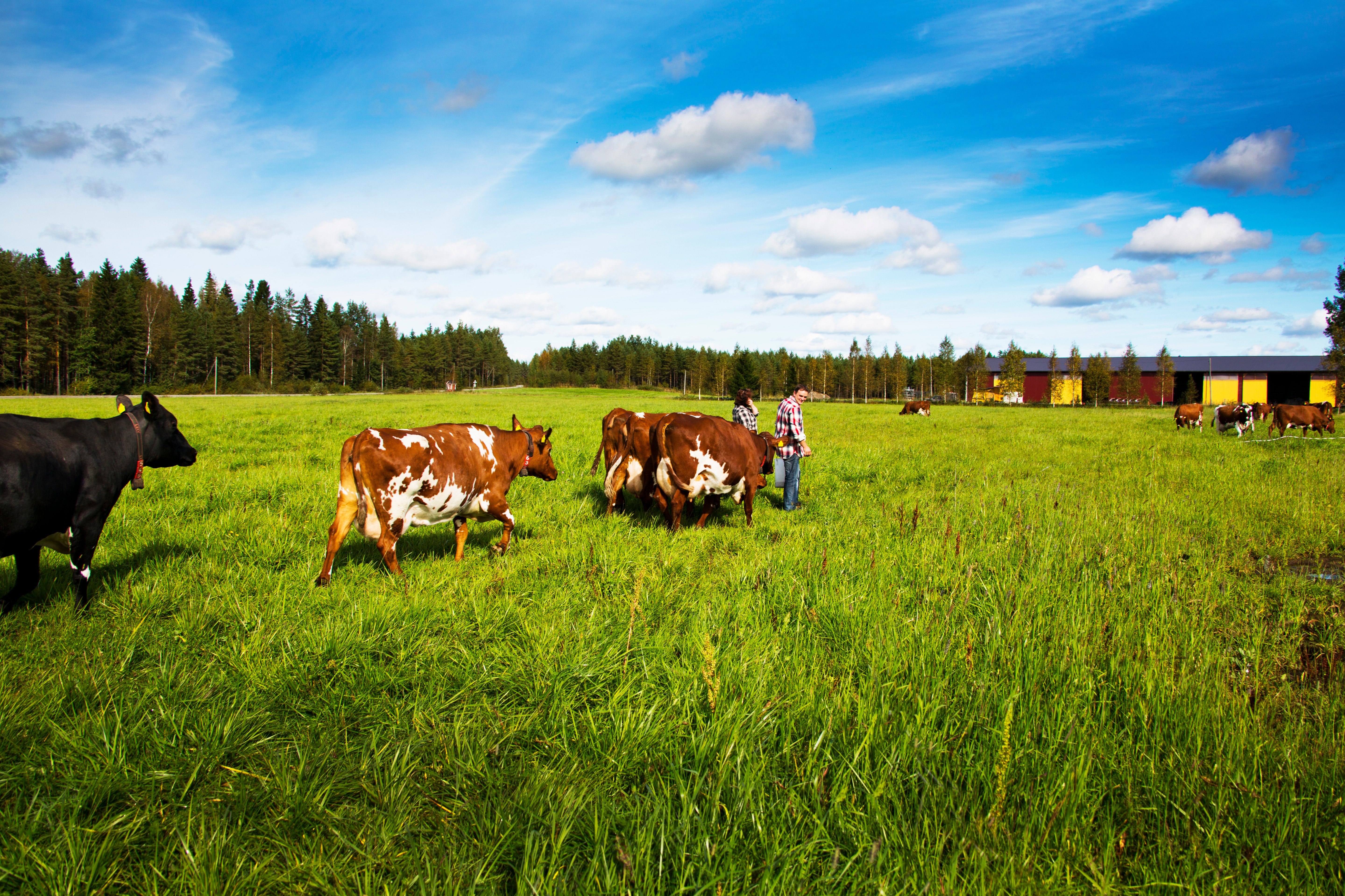 Märehtijöissä tulevaisuus 2.0