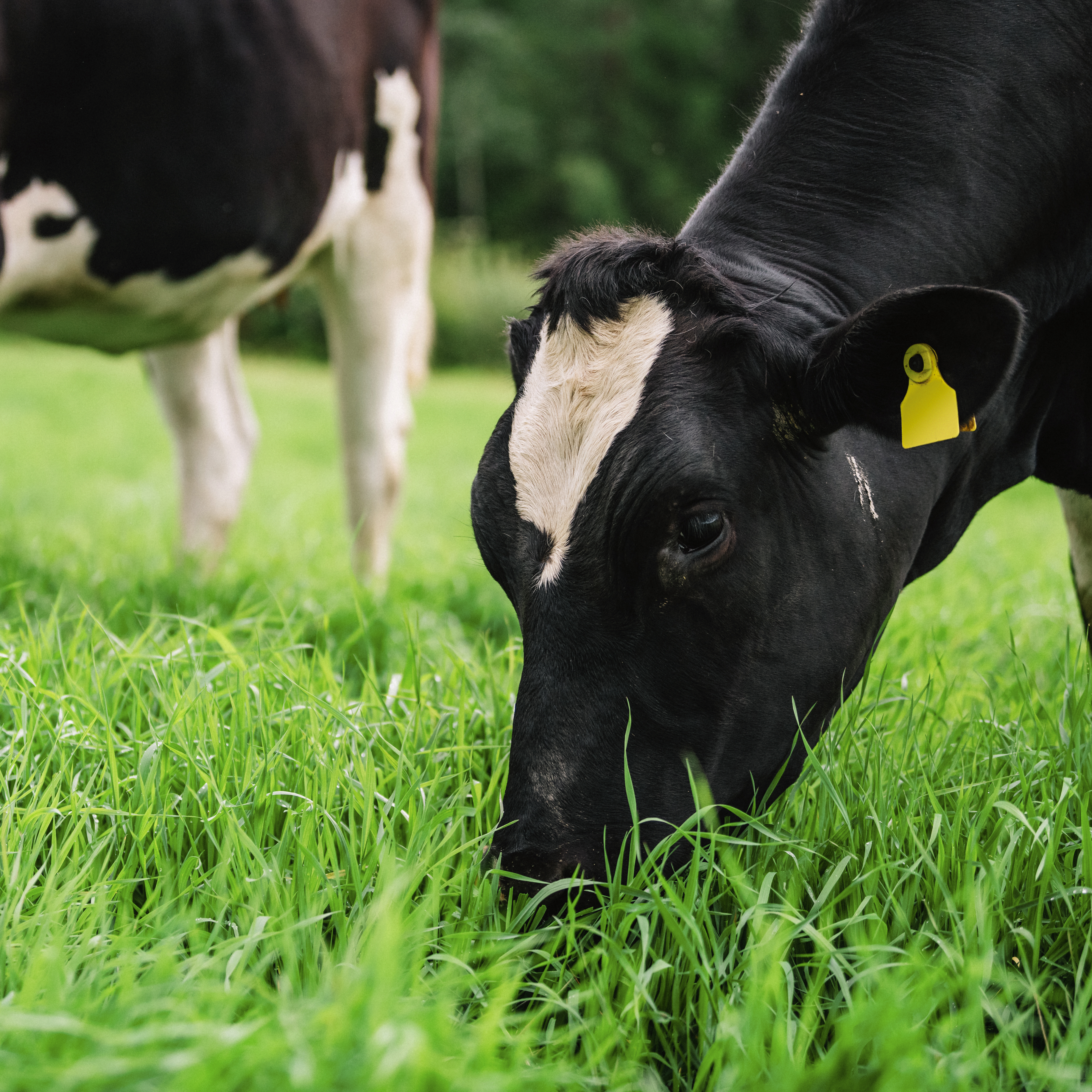 Kohdenna eurot oikein – uusia toimintatapoja arkeen