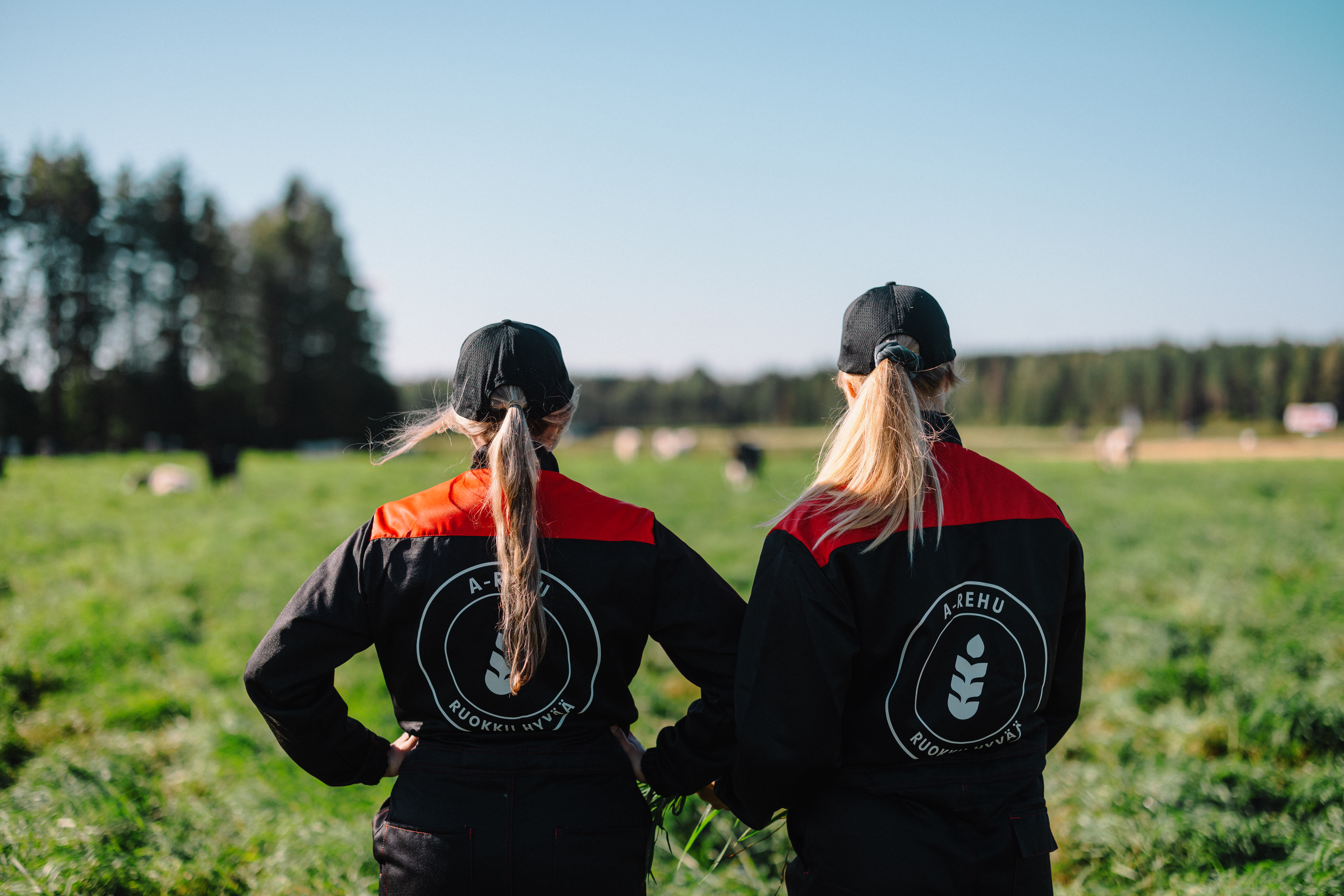 Kehityshankkeesta työkaluja kotieläintuotantotilojen työnantajakuvan kehittämiseen, rekrytointiin ja johtamiseen