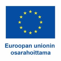 Uusi EU Lippu.jpg