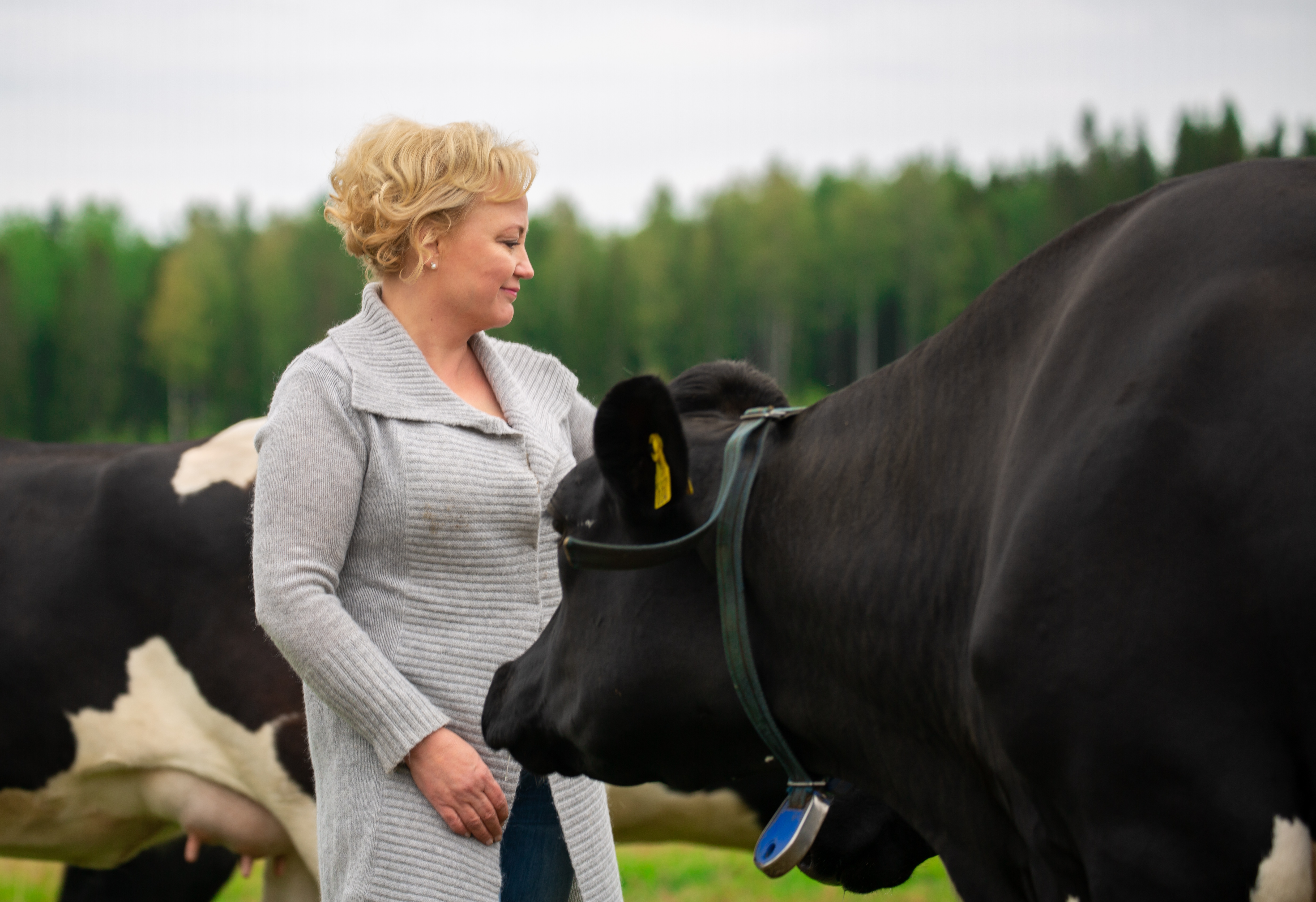 Ruokaturva on osa kokonaisturvallisuutta