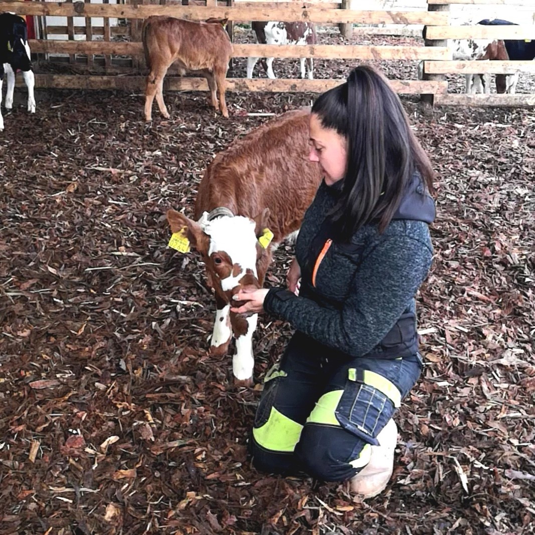 Mäentaustan tila 1/2020