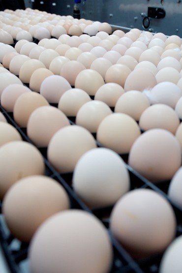 Osuuskunnan ylijäämän verotuksesta