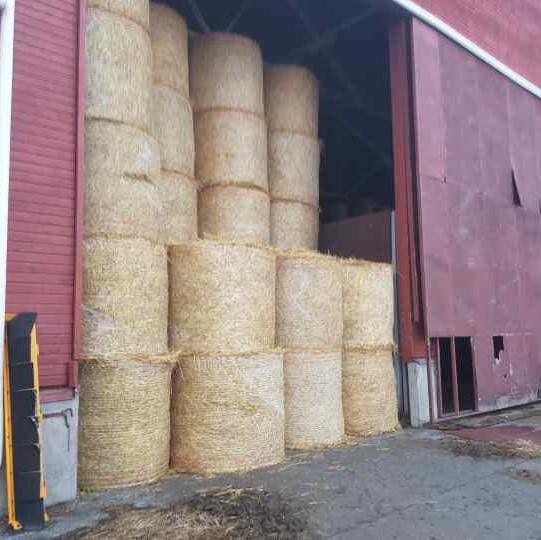 Navettavalkean tila 3/2019