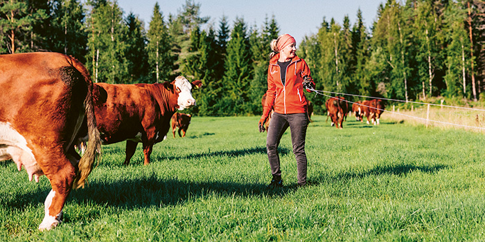Karkailutarinoiden loppu