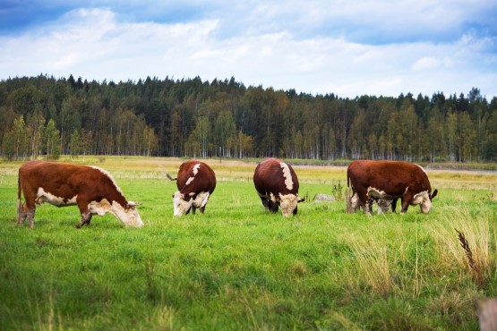 Välkommen på Produktiva Diko seminariet 6.3.2024