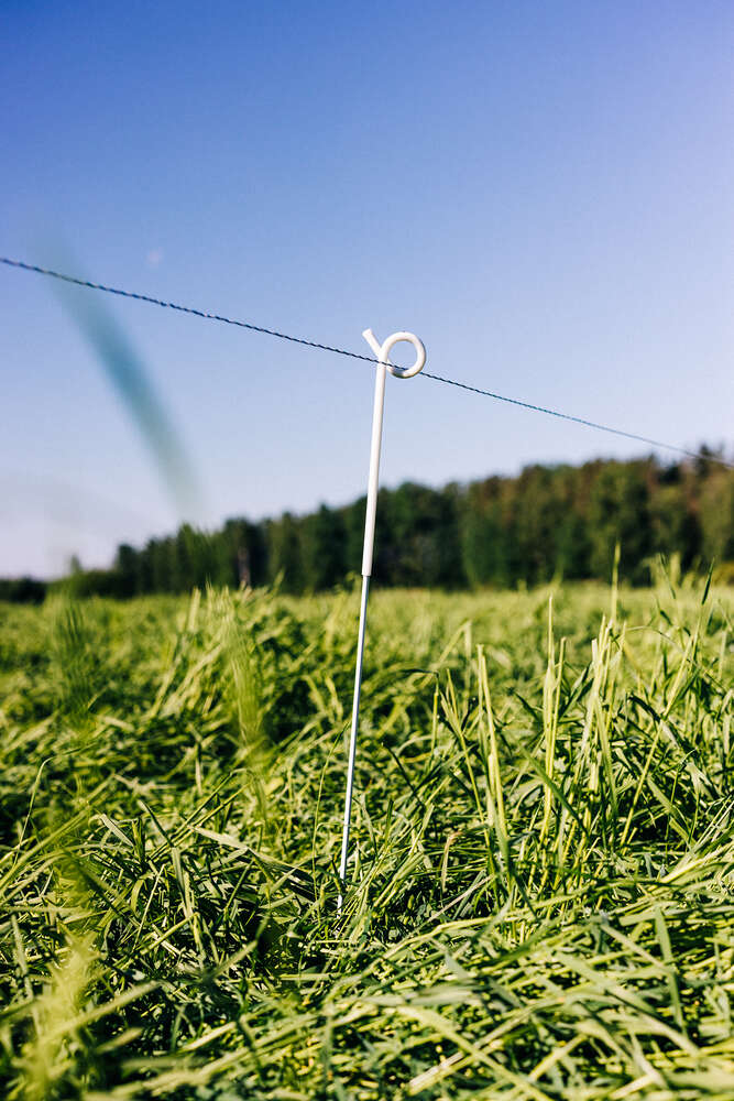 Katso video Kurikan tilalta