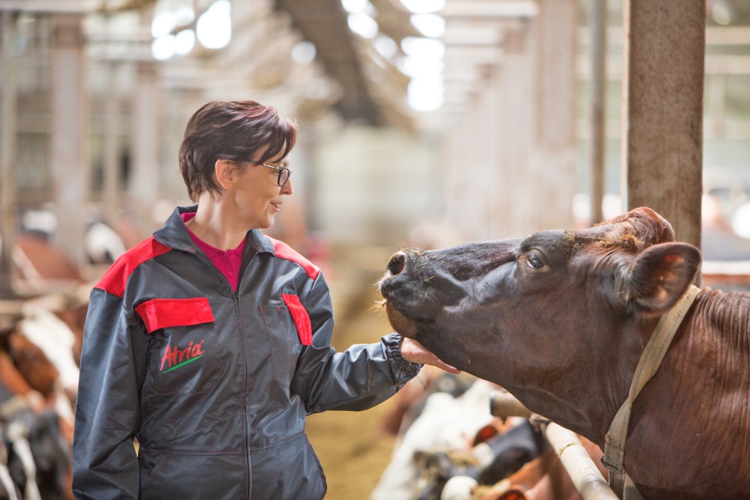 Tautisuojaus nautatiloilla