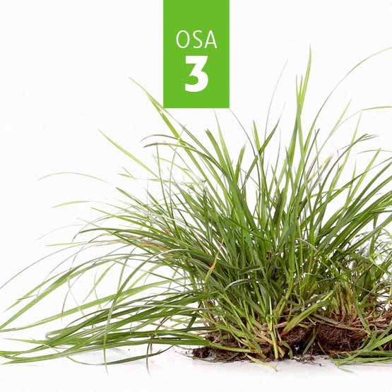 Onko naudanlihantuotanto Suomessa kestävää?