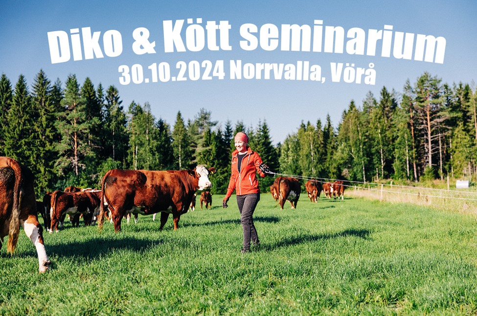 Diko & Kött seminarium Norrvalla, Vörå