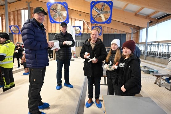 JMK 10_neliönosto.JPG