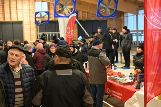 JMK 12_neliönosto.JPG