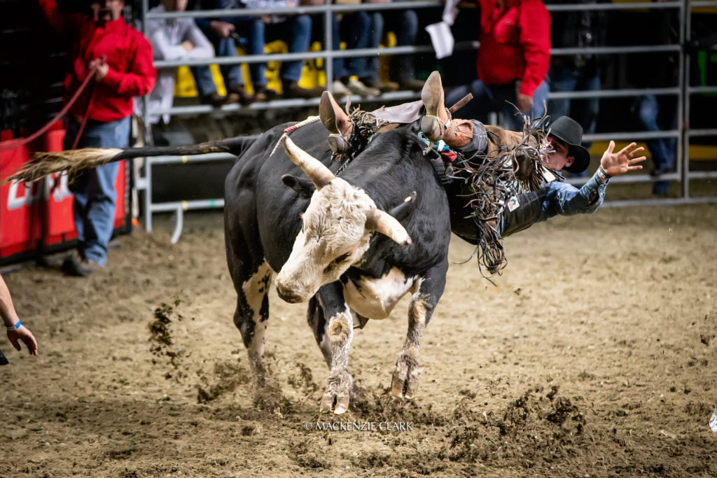 Intresseförfrågan på  Producentresa till Toronto