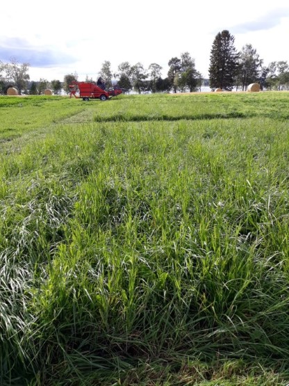 laji- ja lajikeseoskoe.jpg