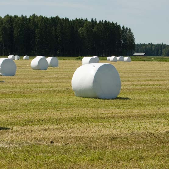 Inplastningsfilm och -nät